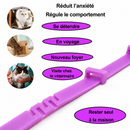 Collier apaisant naturel aux phéromones — chien & chat