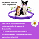 Collier apaisant naturel aux phéromones — chien & chat
