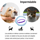 Collier apaisant naturel aux phéromones — chien & chat