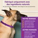 Collier apaisant naturel aux phéromones — chien & chat