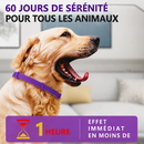 Collier apaisant naturel aux phéromones — chien & chat