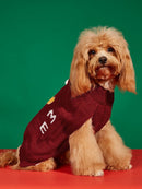 Pull de Noël pour chien & chat