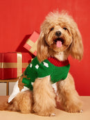 Pull de Noël pour chien & chat