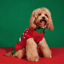 Pull de Noël pour chien & chat