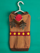 Pull de Noël pour chien & chat