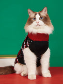 Pull de Noël pour chien & chat