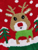 Pull de Noël pour chien & chat