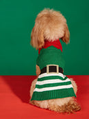 Pull de Noël pour chien & chat
