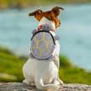Sac à dos de transport pour petit chien