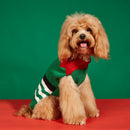Pull de Noël pour chien & chat