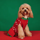 Pull de Noël pour chien & chat