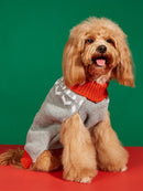 Pull de Noël pour chien & chat