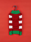 Pull de Noël pour chien & chat