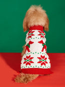 Pull de Noël pour chien & chat