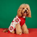 Pull de Noël pour chien & chat