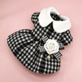 Manteau pied-de-poule chic pour chien