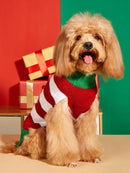 Pull de Noël pour chien & chat
