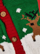 Pull de Noël pour chien & chat