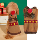Pull de Noël pour chien & chat