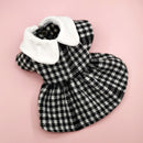 Manteau pied-de-poule chic pour chien