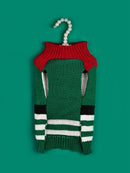 Pull de Noël pour chien & chat