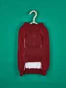 Pull de Noël pour chien & chat