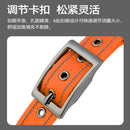 Collier réfléchissant rembourré personnalisable
